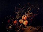 Rachel Ruysch Still-Life with Fruit and Insects oil painting artist